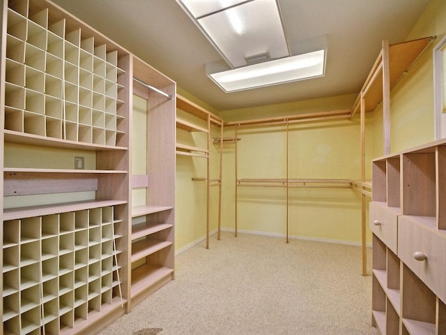 walk in closet with carpet flooring