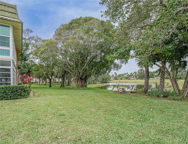 view of yard with a water view