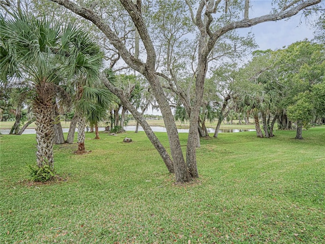 view of yard with a water view