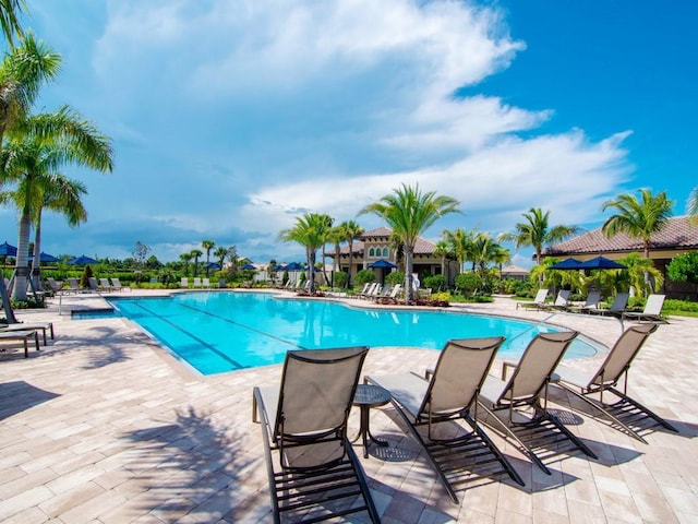 view of swimming pool featuring a patio area