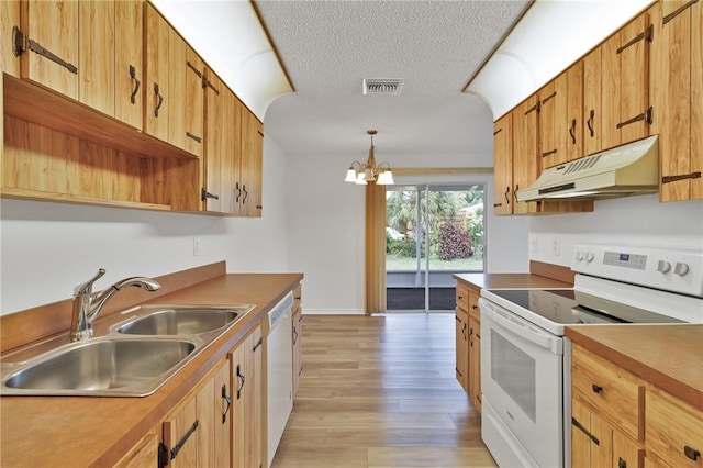 607 Balboa St, Sebastian, FL 32958 - photo 9
