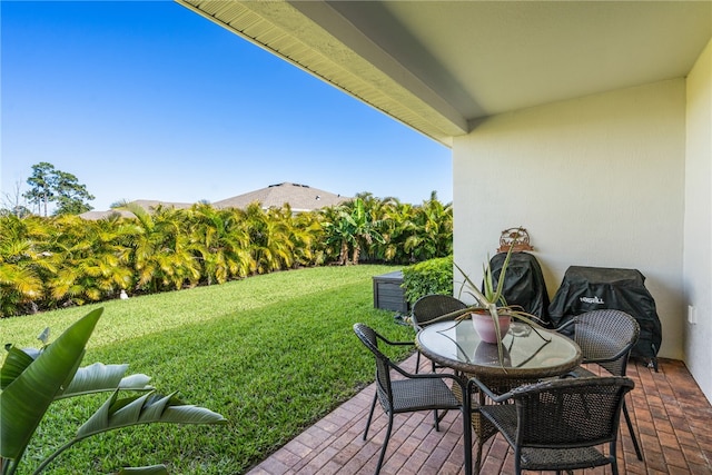 view of yard featuring a patio area