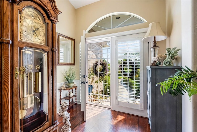 entryway featuring dark hardwood / wood-style flooring