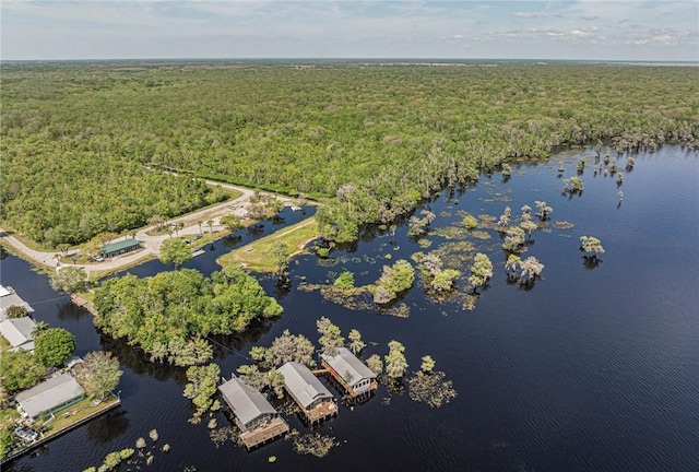 bird's eye view featuring a water view and a wooded view