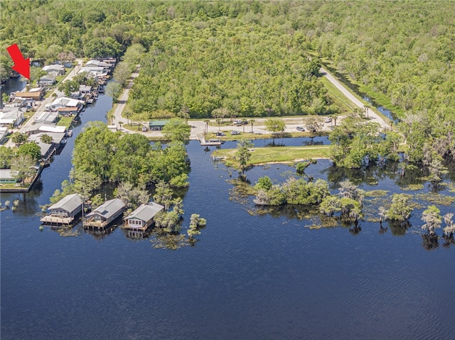 aerial view with a water view and a view of trees