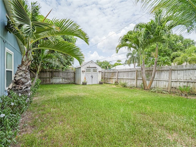 view of yard with a storage shed