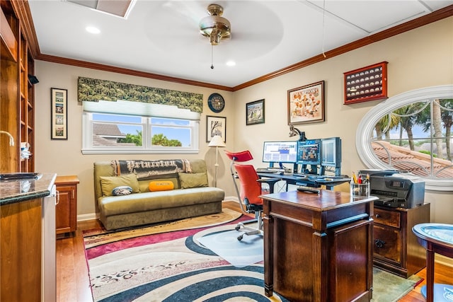 home office with light hardwood / wood-style floors, ceiling fan, ornamental molding, and sink