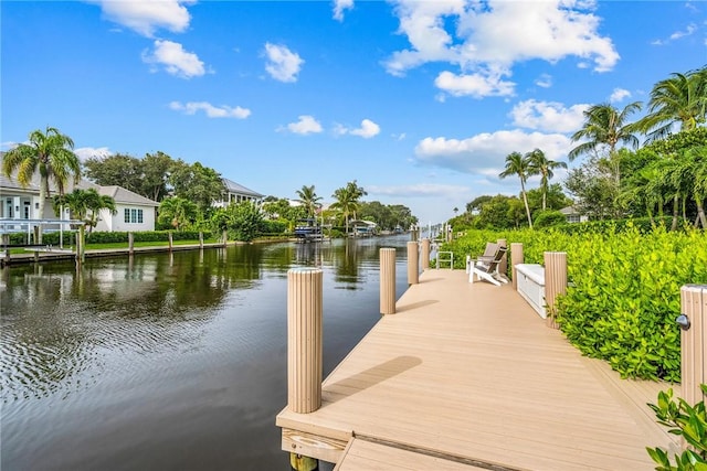 dock area featuring a water view