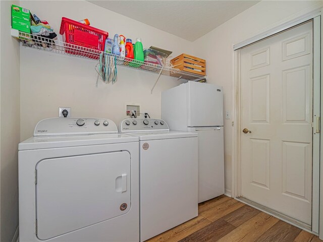 laundry area with hardwood / wood-style flooring and separate washer and dryer