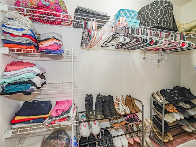 view of spacious closet