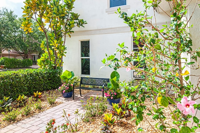 view of property exterior with a patio