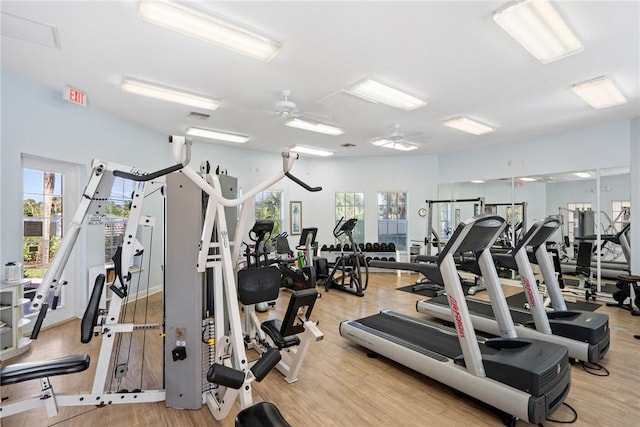 919 Island Club Sq, Vero Beach, FL 32963 - gym featuring ceiling fan, visible vents, plenty of natural light, and wood finished floors