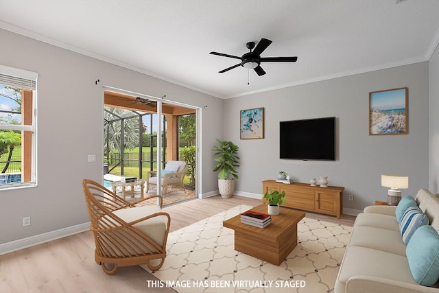 living room featuring ceiling fan, light wood-type flooring, and crown molding