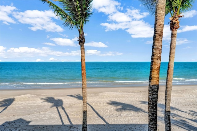 property view of water featuring a view of the beach