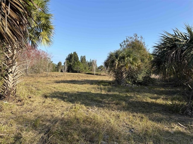 0 88th St, Sebastian, FL 32958