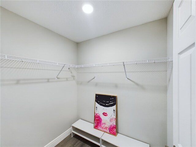 walk in closet featuring dark wood-type flooring