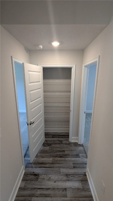 532 S Easy St, Sebastian, FL 32958 - corridor featuring dark wood finished floors and baseboards