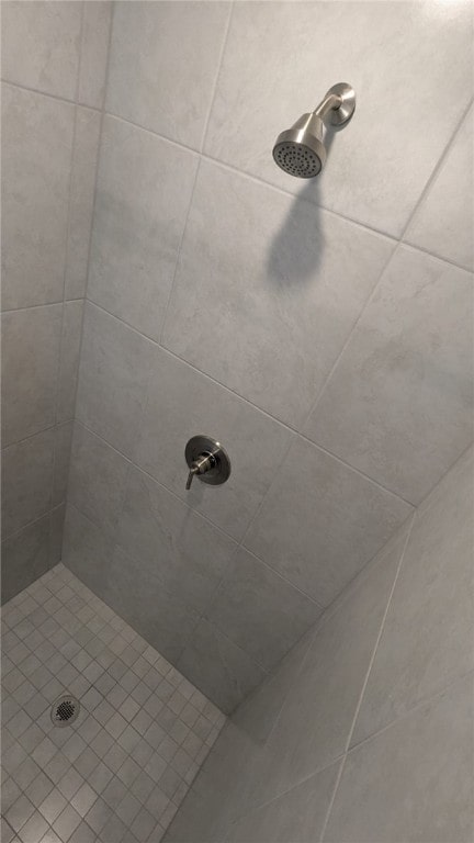 532 S Easy St, Sebastian, FL 32958 - bathroom with tiled shower