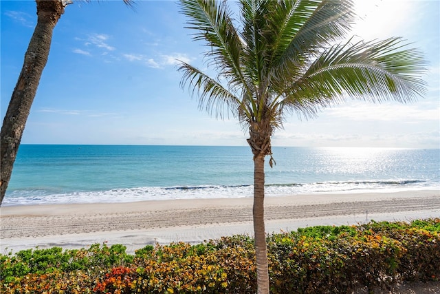 view of water feature featuring a beach view