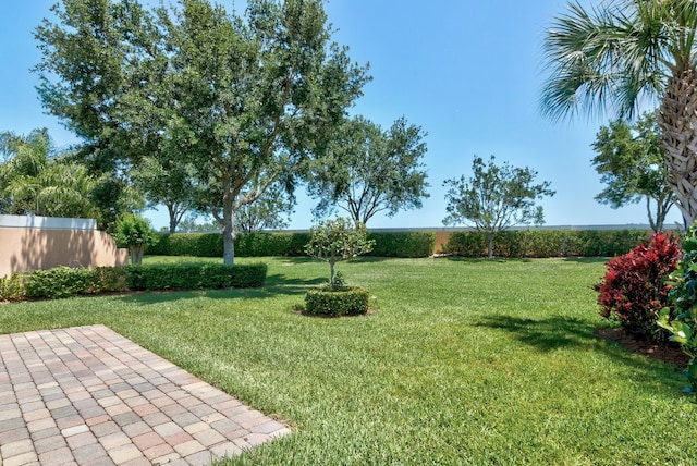 view of yard featuring a patio