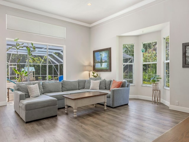 living room with hardwood / wood-style flooring and crown molding