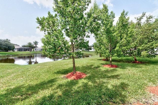 view of yard featuring a water view