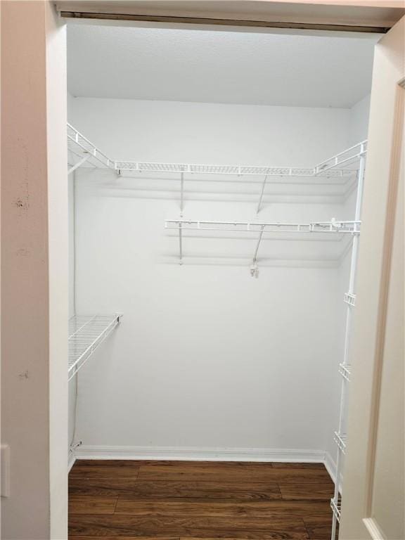 3865 8th Pl, Vero Beach, FL 32960 - walk in closet with dark wood finished floors