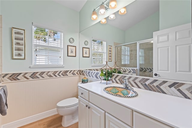 bathroom featuring wood-type flooring, toilet, a shower with shower door, and vanity