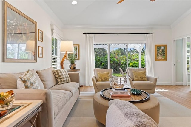 living room featuring crown molding, ceiling fan, and light wood-type flooring