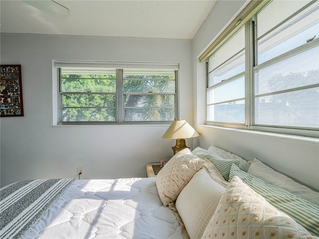 bedroom featuring multiple windows