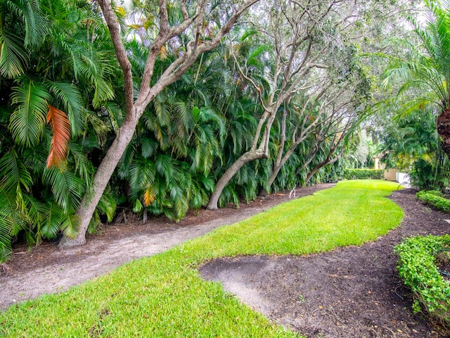 9520 E Maiden Ct, Vero Beach, FL 32963 - view of grassy yard
