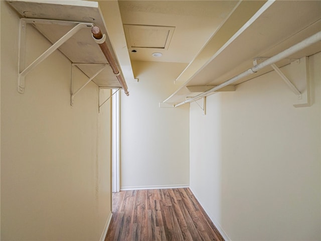 spacious closet featuring hardwood / wood-style floors