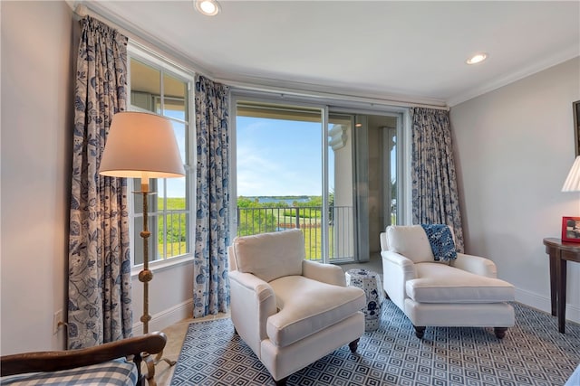 living area featuring crown molding