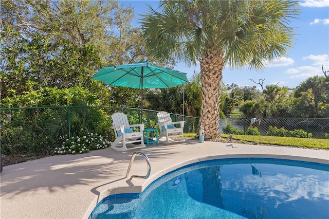 view of swimming pool with a patio