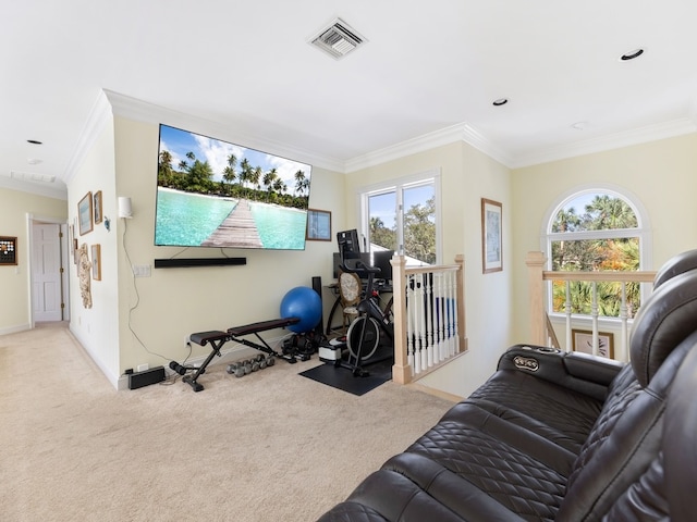 workout room featuring a wealth of natural light, light carpet, and crown molding