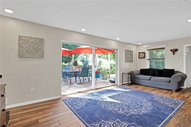 living room featuring wood-type flooring and plenty of natural light