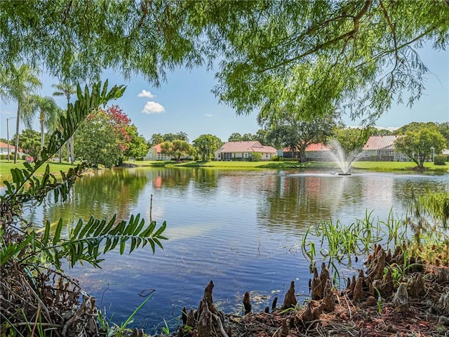 view of water feature