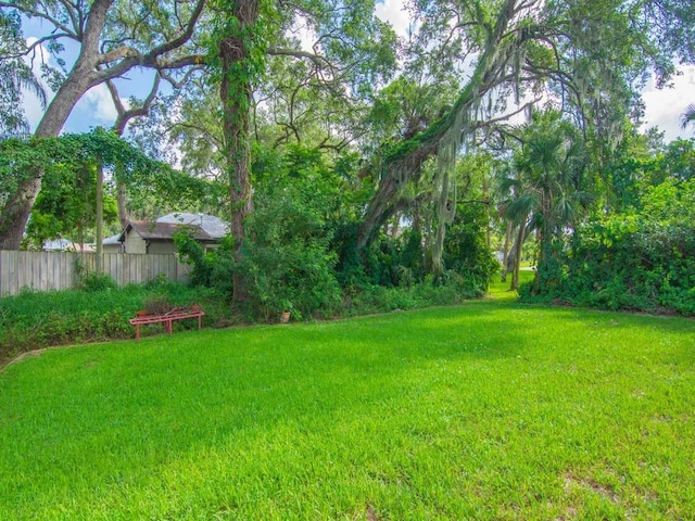 321 Browning Ter, Sebastian, FL 32958 - view of yard