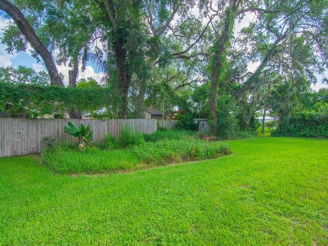 321 Browning Ter, Sebastian, FL 32958 - view of yard