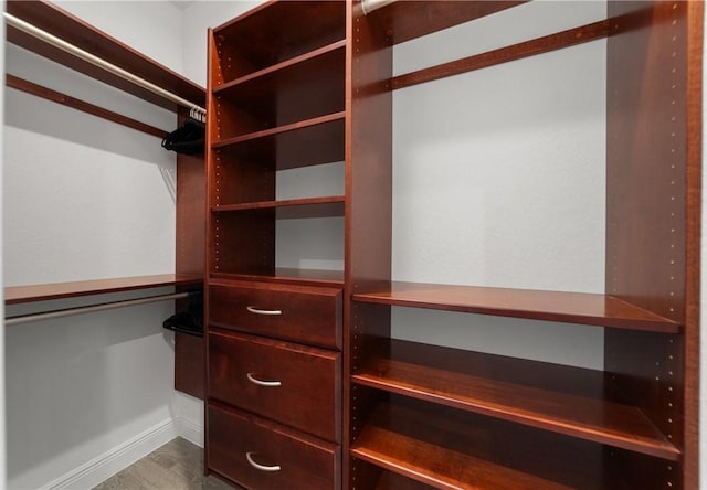 6354 Arcadia Sq, Vero Beach, FL 32966 - walk in closet featuring dark wood-style flooring