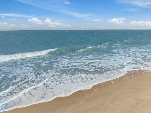 water view featuring a beach view