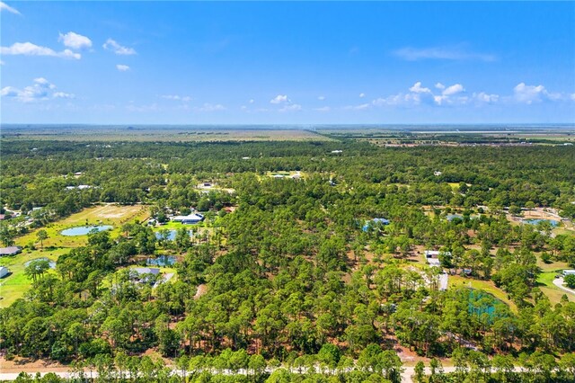 13448 85th St, Fellsmere, FL 32948 - photo 12