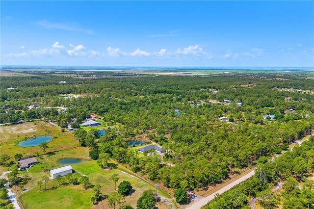 13448 85th St, Fellsmere, FL 32948 - photo 6