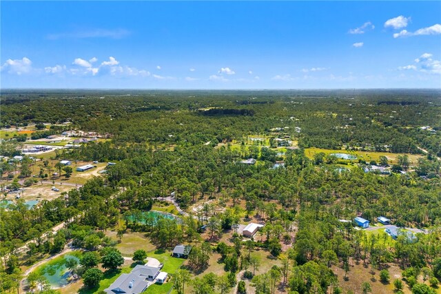 13448 85th St, Fellsmere, FL 32948 - photo 9