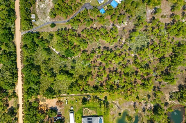 13448 85th St, Fellsmere, FL 32948 - photo 15