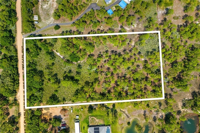 13448 85th St, Fellsmere, FL 32948 - photo 1
