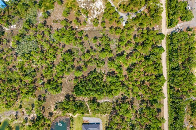 13448 85th St, Fellsmere, FL 32948 - photo 16