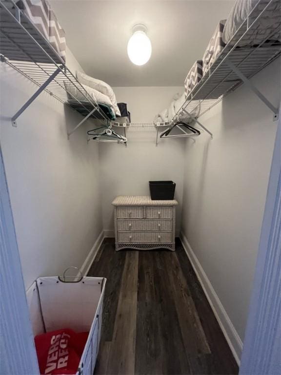 walk in closet with dark wood-style floors