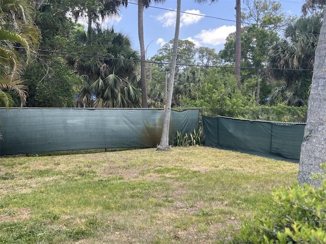 view of grassy yard