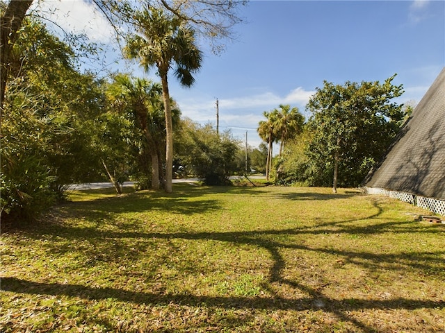 view of yard